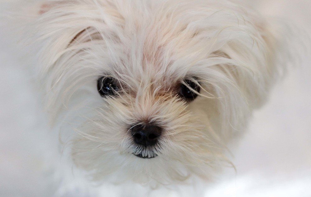 Photograph by Olga Vasina