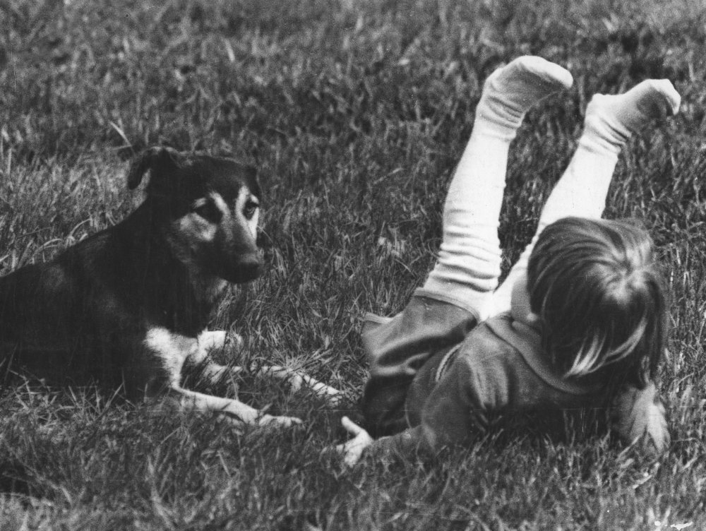 Photograph by Валерий Крачунов