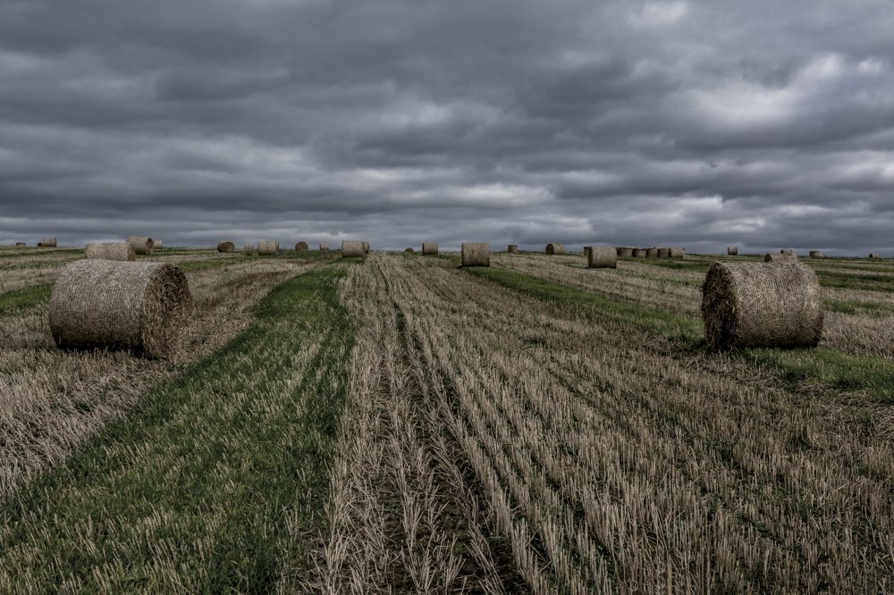 уж небо осенью дышало...