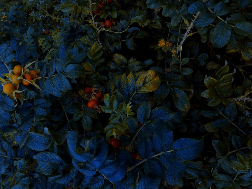 Photograph by Станислав Ситников