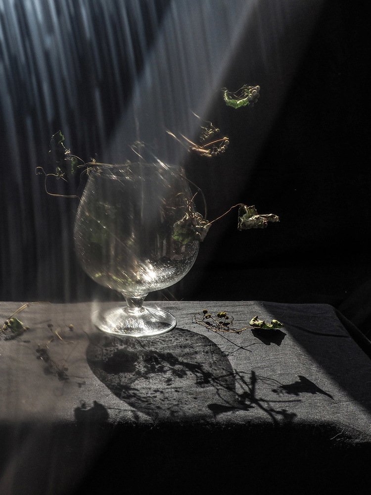 Полнолуние.