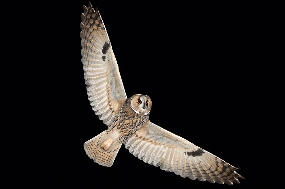 Photograph by Вячеслав Ладанов