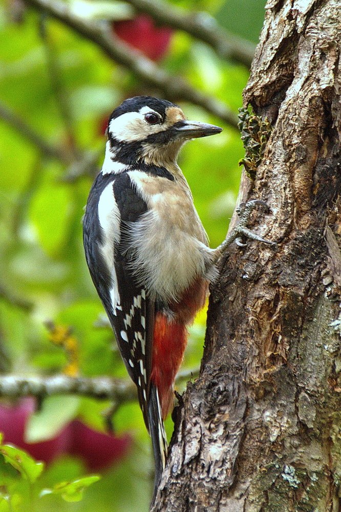 Осенние заботы