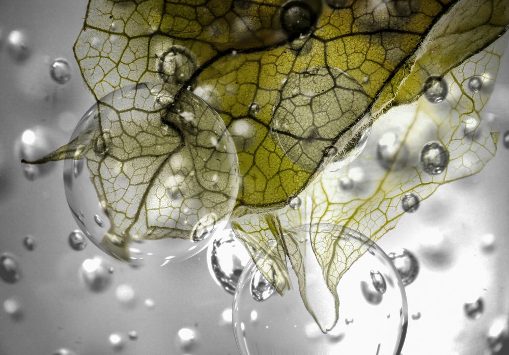 Photograph by Юрий Чернов