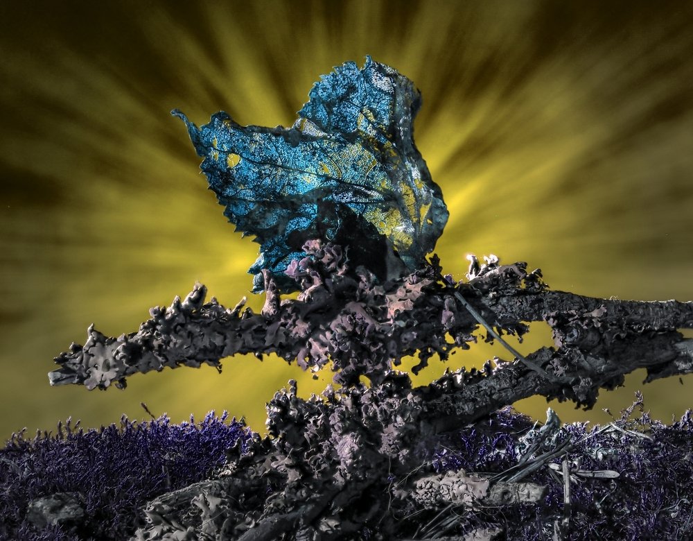 Photograph by Юрий Чернов