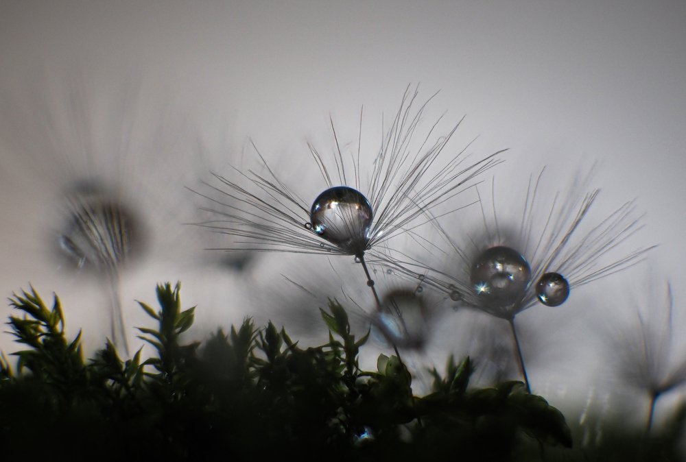 Photograph by Юрий Чернов