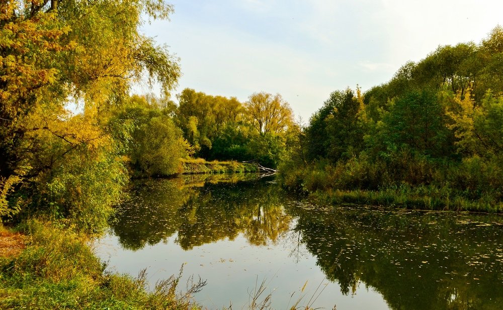 Photograph by Ольга Доловова