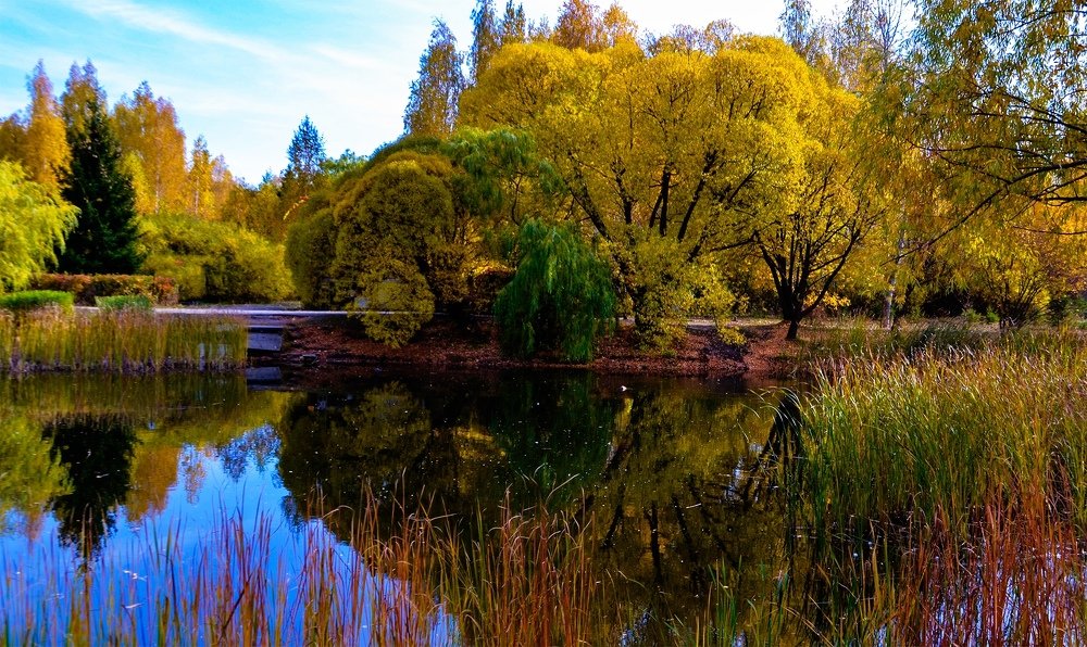 Photograph by Ольга Доловова