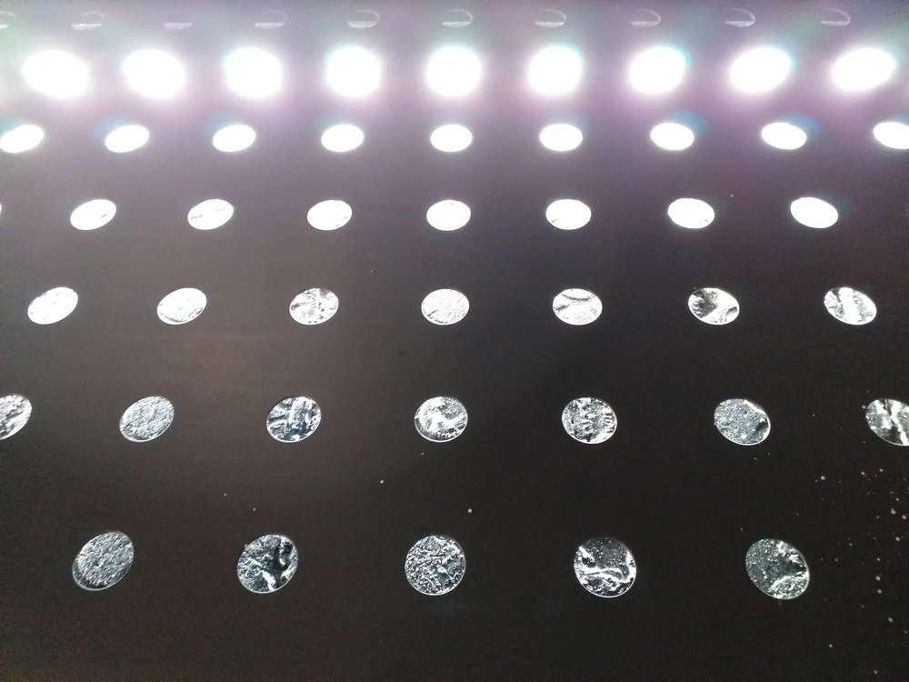 Photo #5115471