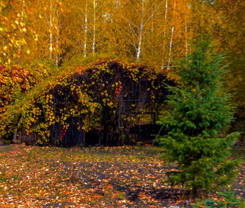 Photograph by Ольга Доловова