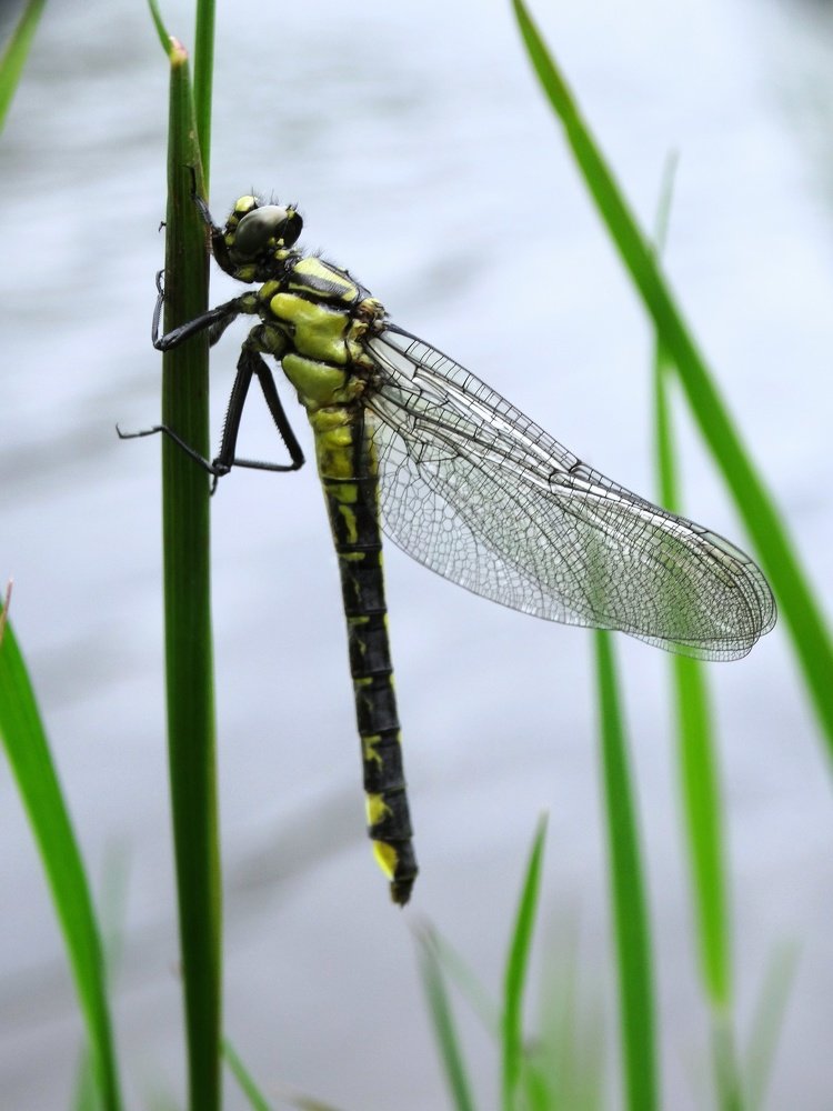 Photograph by Ангелина Соколова