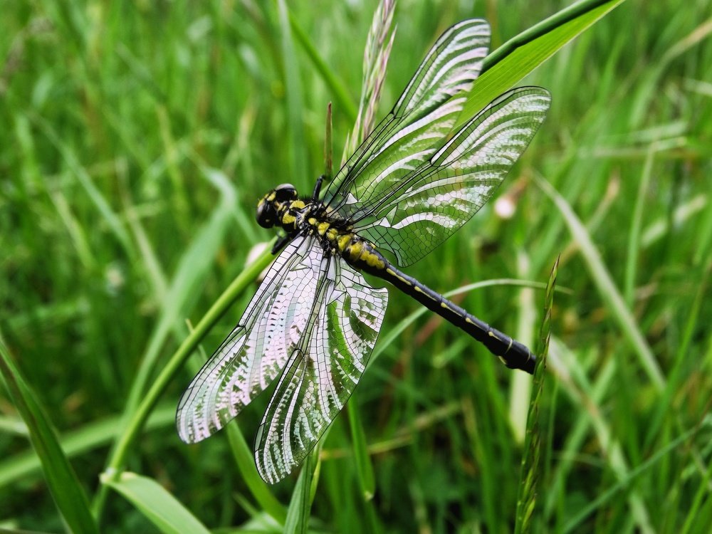 Photograph by Ангелина Соколова