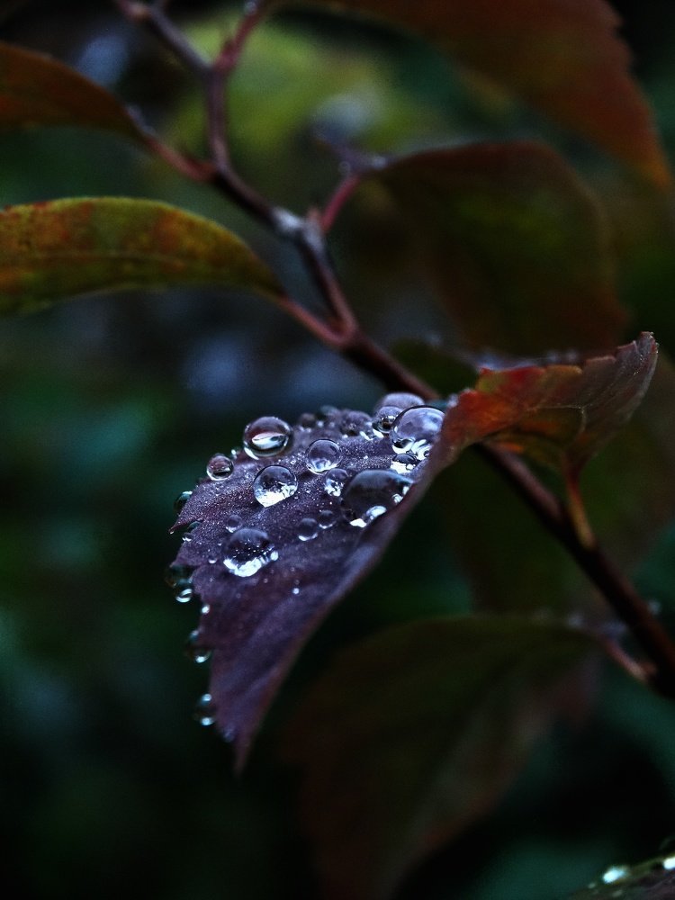 Photograph by Ангелина Соколова