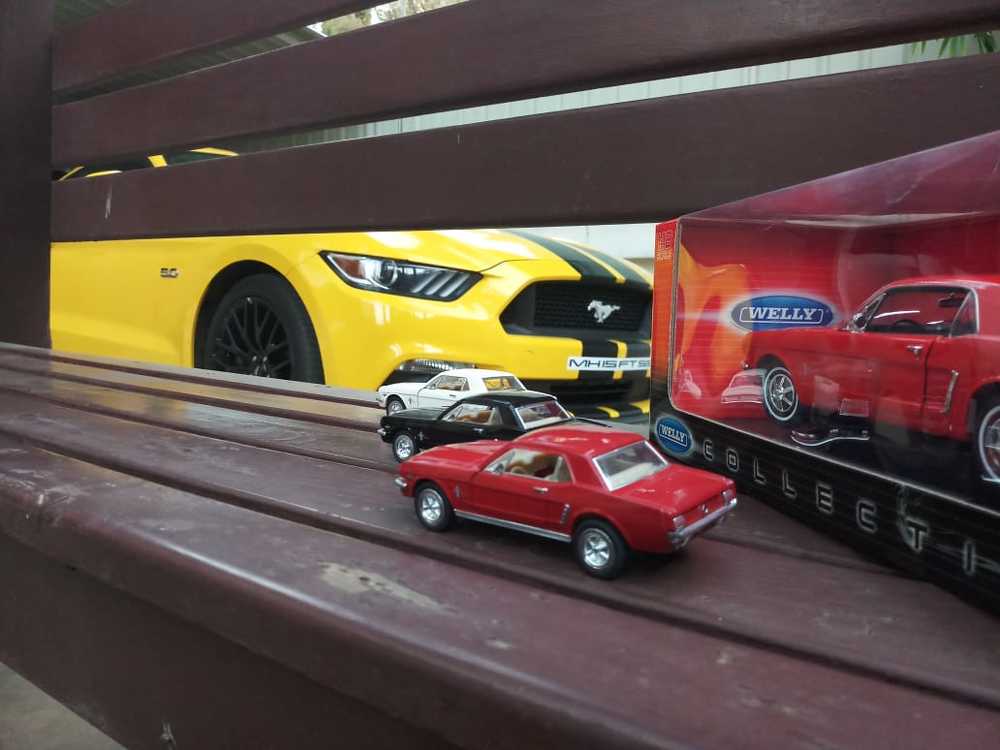 Photograph by Ambewadikar sourabh