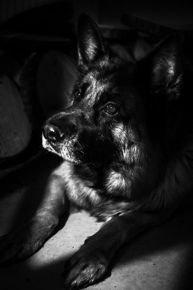 Photograph by Юлия Долгина