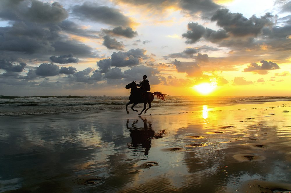 Photograph by Fathi Ibrahim