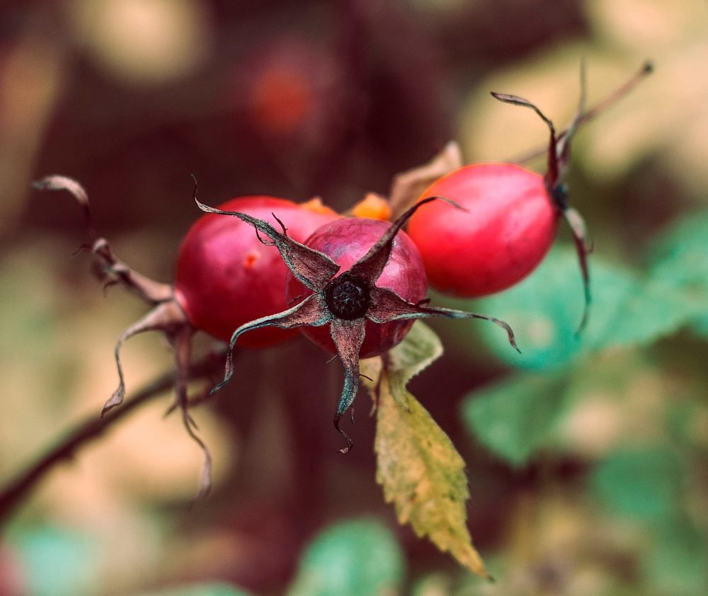 Photograph by Нина Минченко