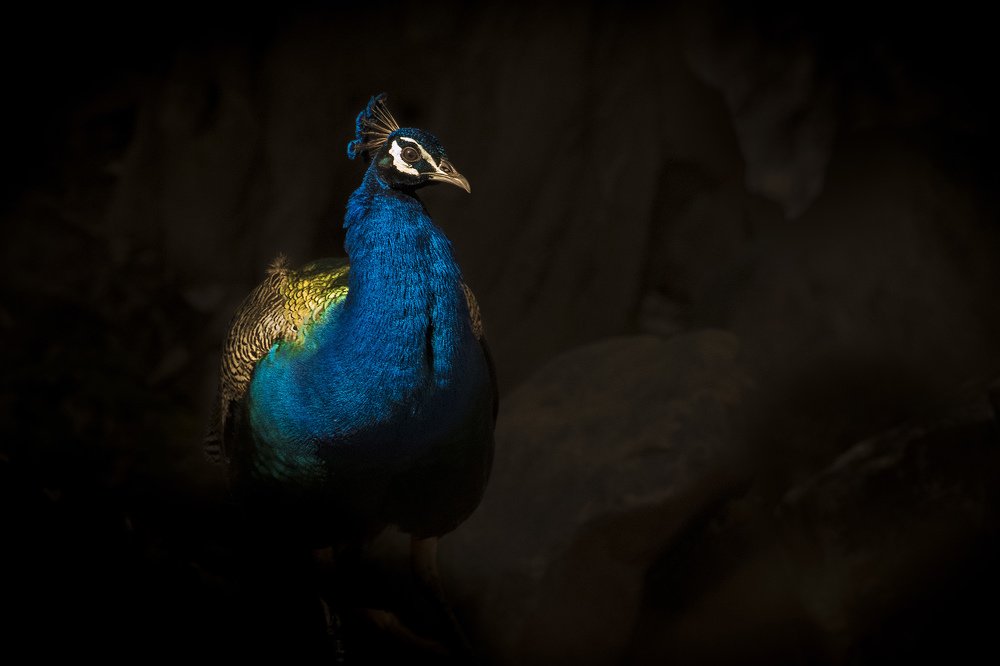 Photograph by Smita Behera