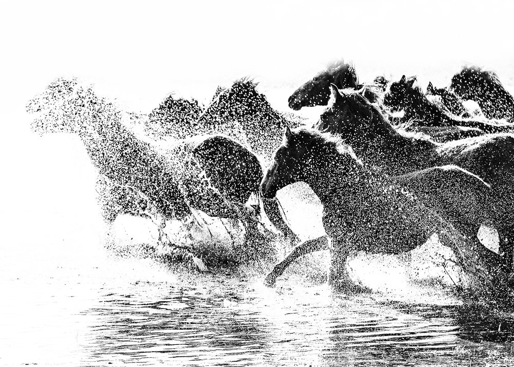 Фотография автора feyzullah Tunç