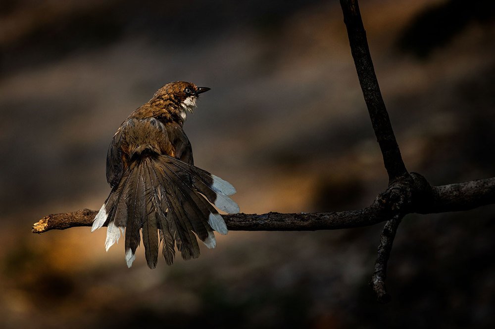 Photograph by Smita Behera