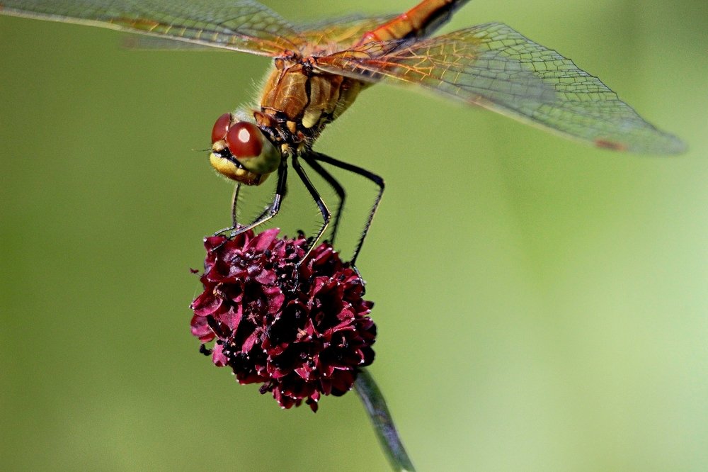 Photograph by 