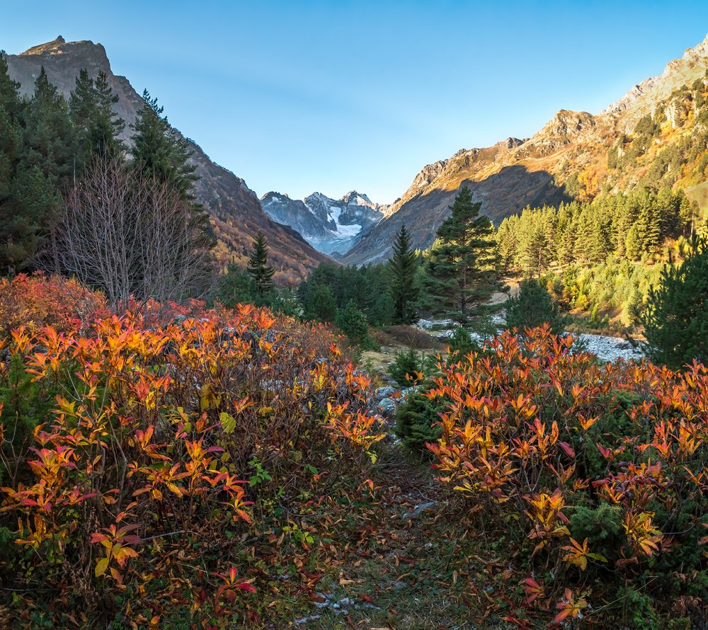 Фотография автора Zakharov Armen