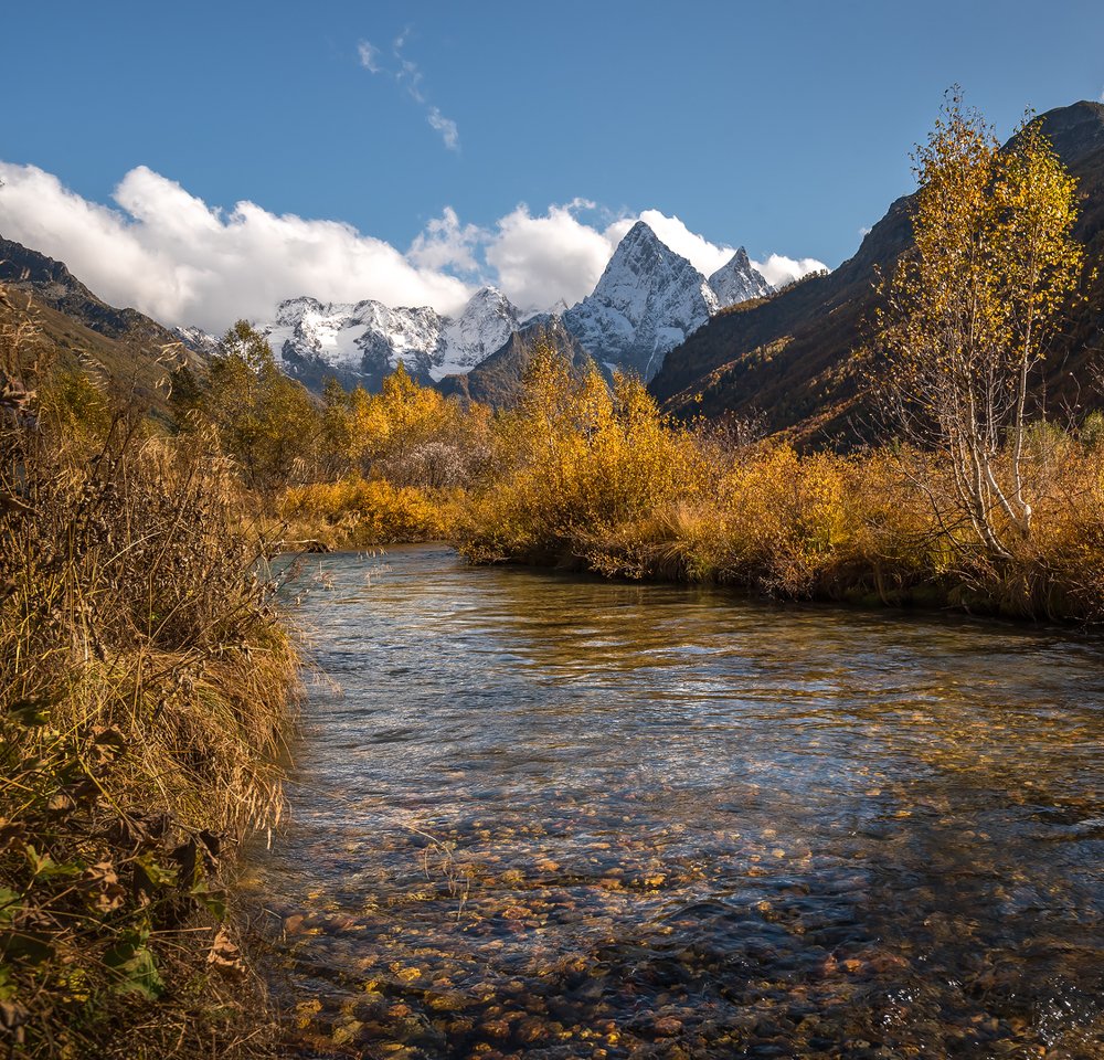 Фотография автора Zakharov Armen