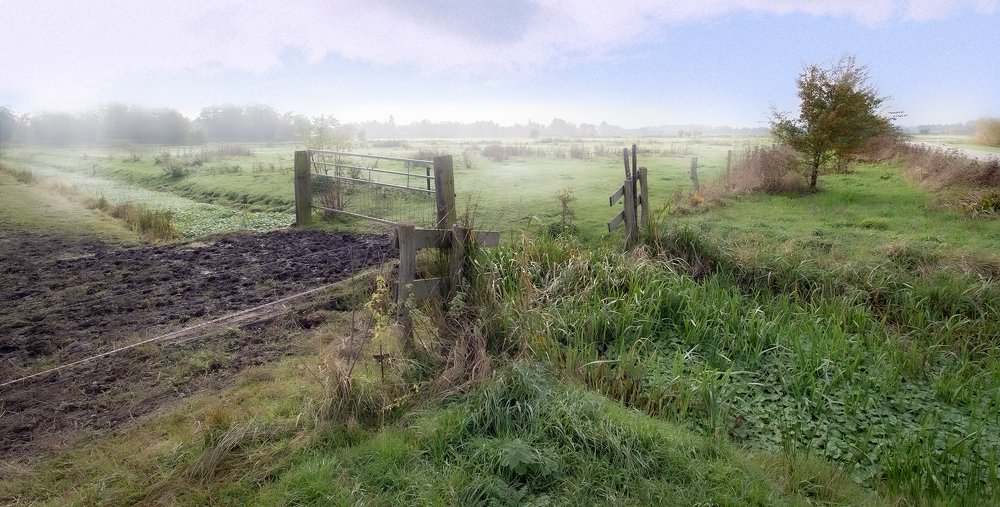 Dutch landscape. Early in the Morning
