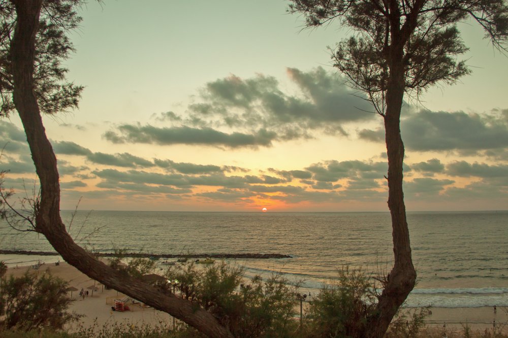 Photograph by Владимир