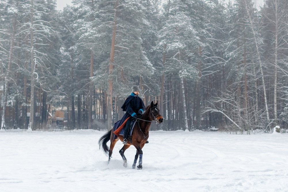 Photograph by Юлия Долгина