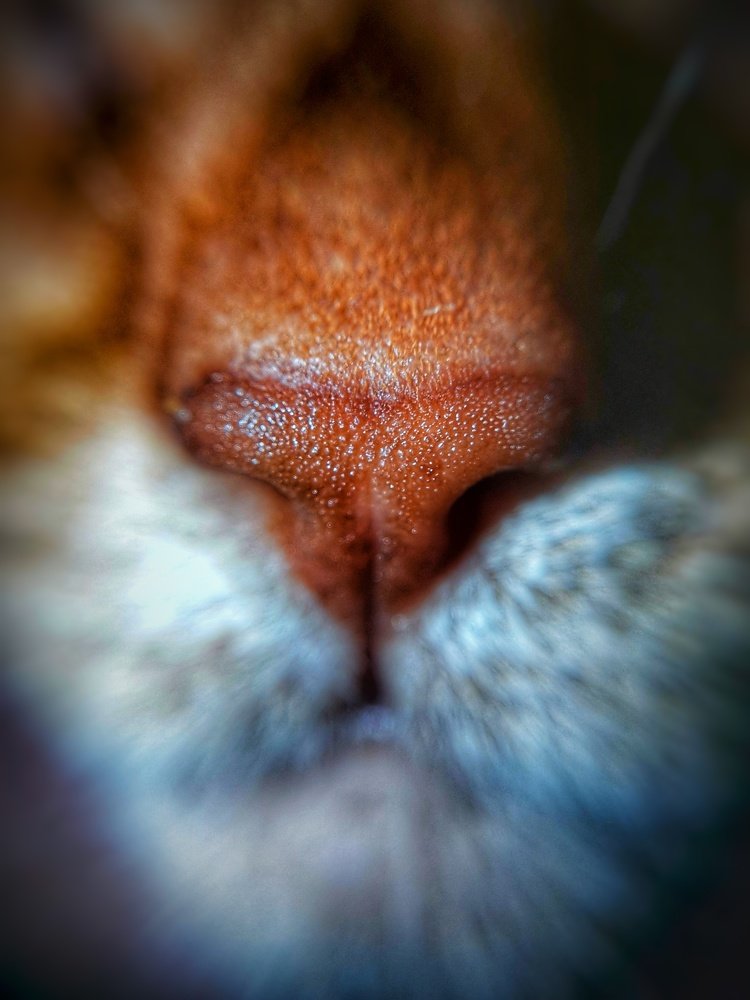 Photograph by Ольга Мажарук