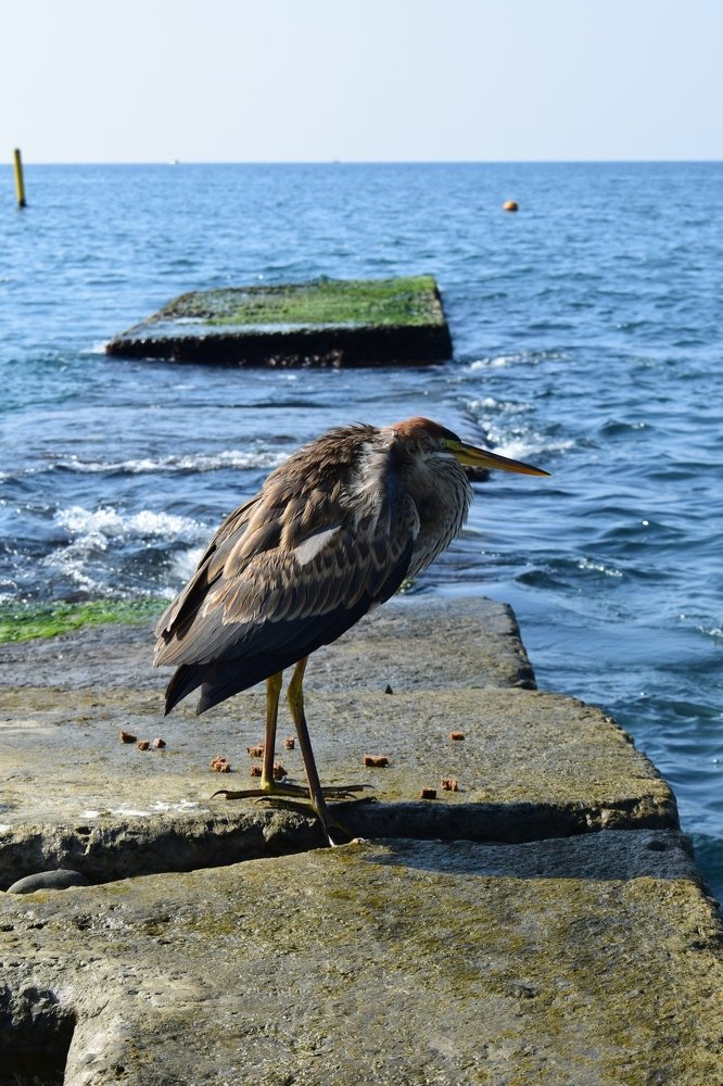 Photograph by Екатерина Вострякова