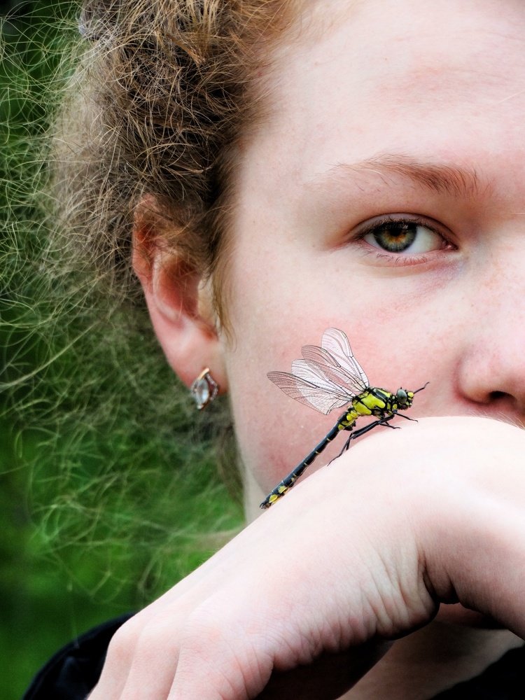 Photograph by Ангелина Соколова