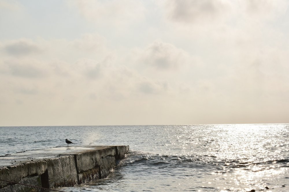 Photograph by Екатерина Вострякова