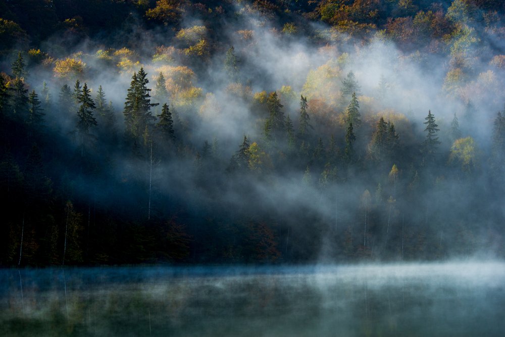 Photograph by Csoti Bela