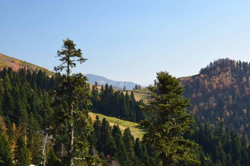 Photograph by Екатерина Вострякова