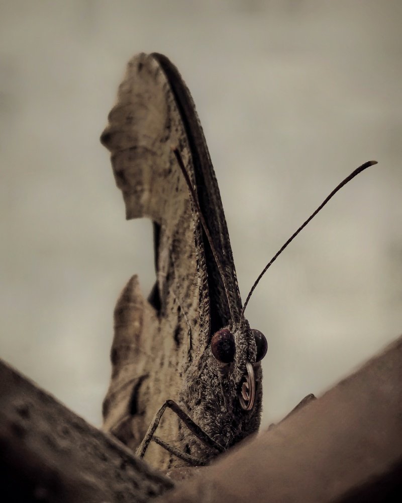 Фотография автора Aryan Singh