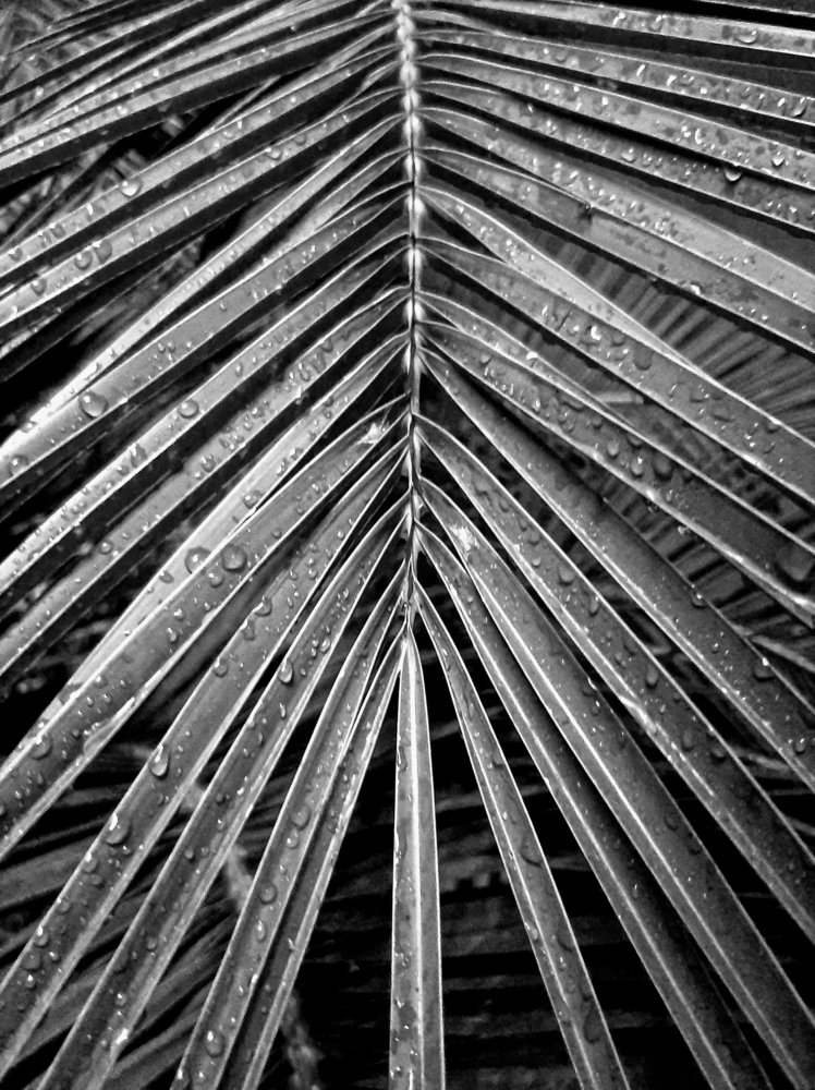 Photograph by Екатерина Вострякова