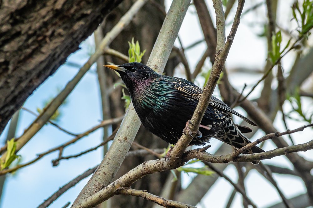 Фотография автора Виктор Максимов