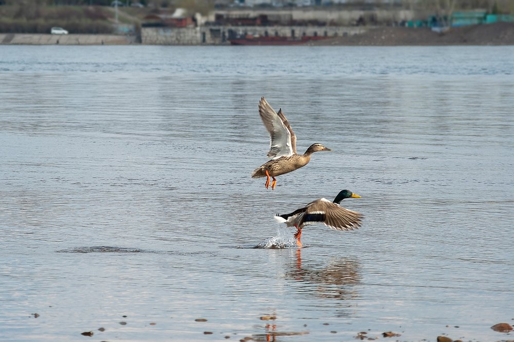 Фотография автора Виктор Максимов