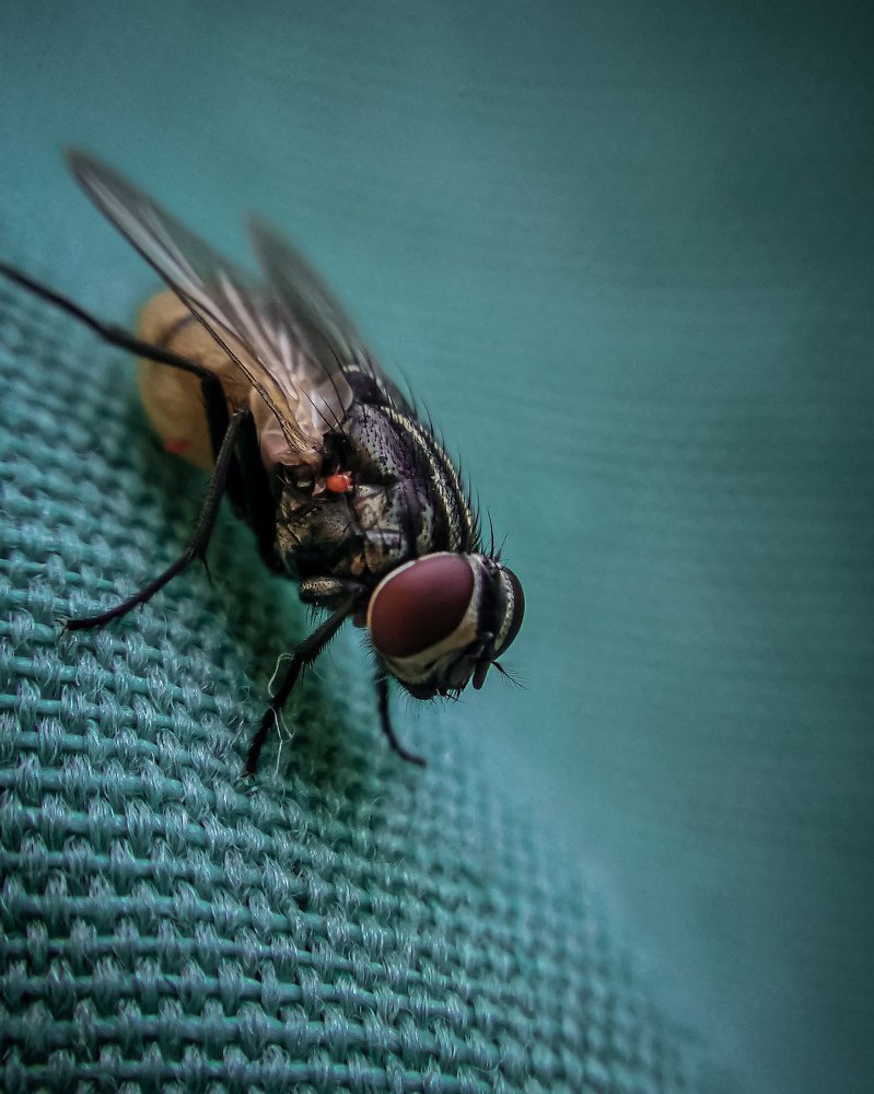 Фотография автора Aryan Singh