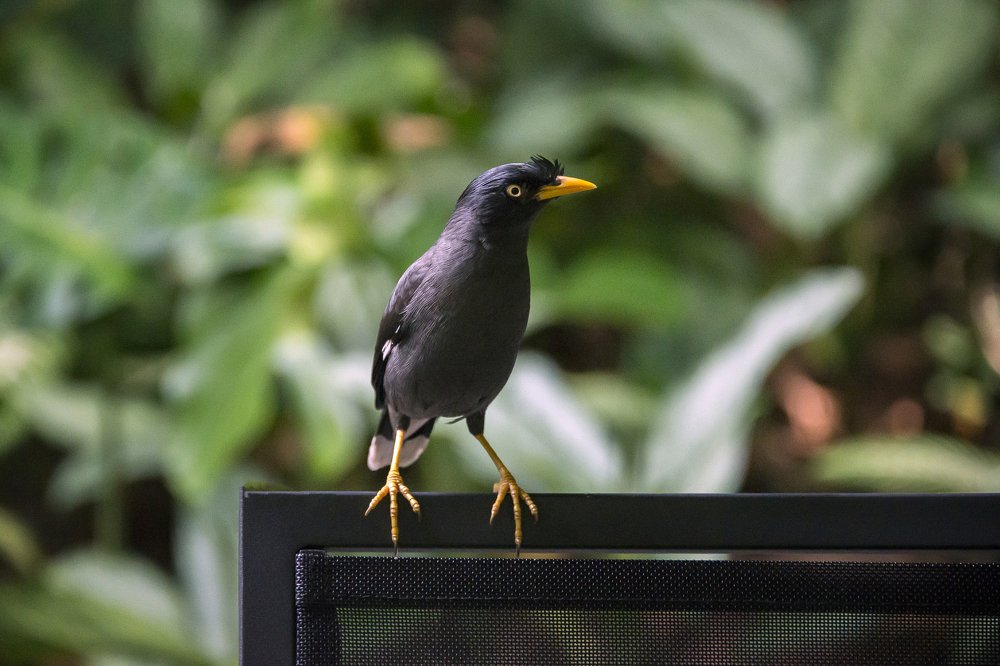 Photograph by Karen Khachaturyants