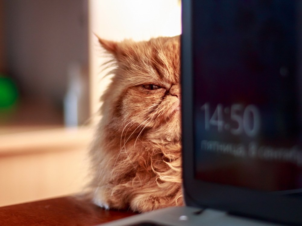 Photograph by Юлия Долгина