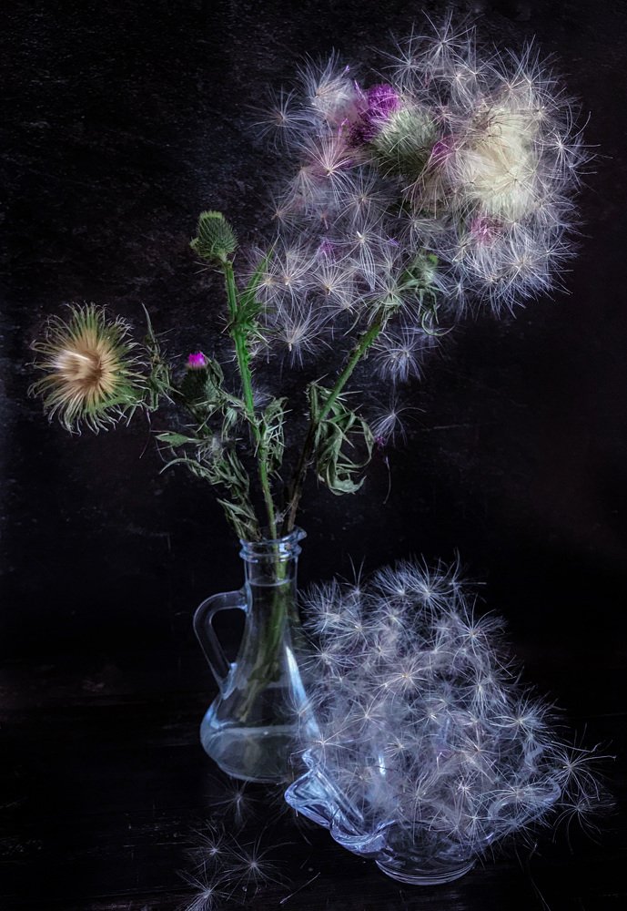 Пушистый мир