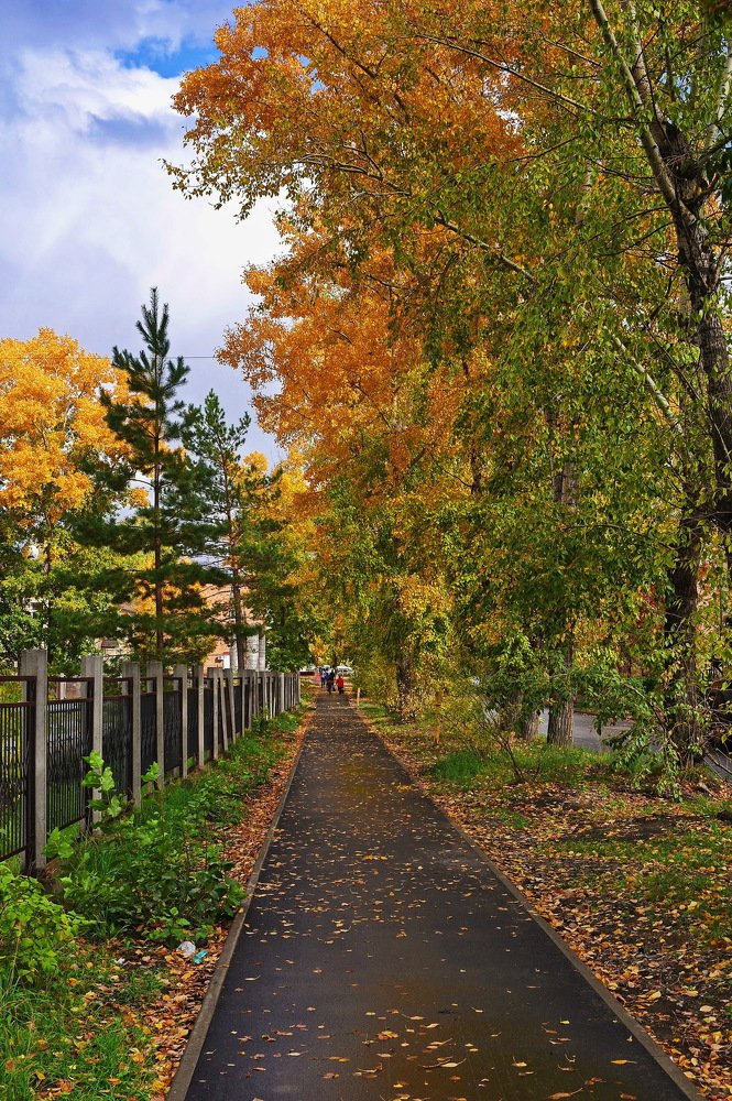 Photograph by владимир дадочкин