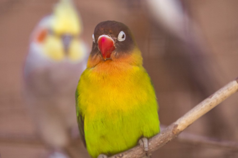 Фотография автора Nikolay Tatarchuk