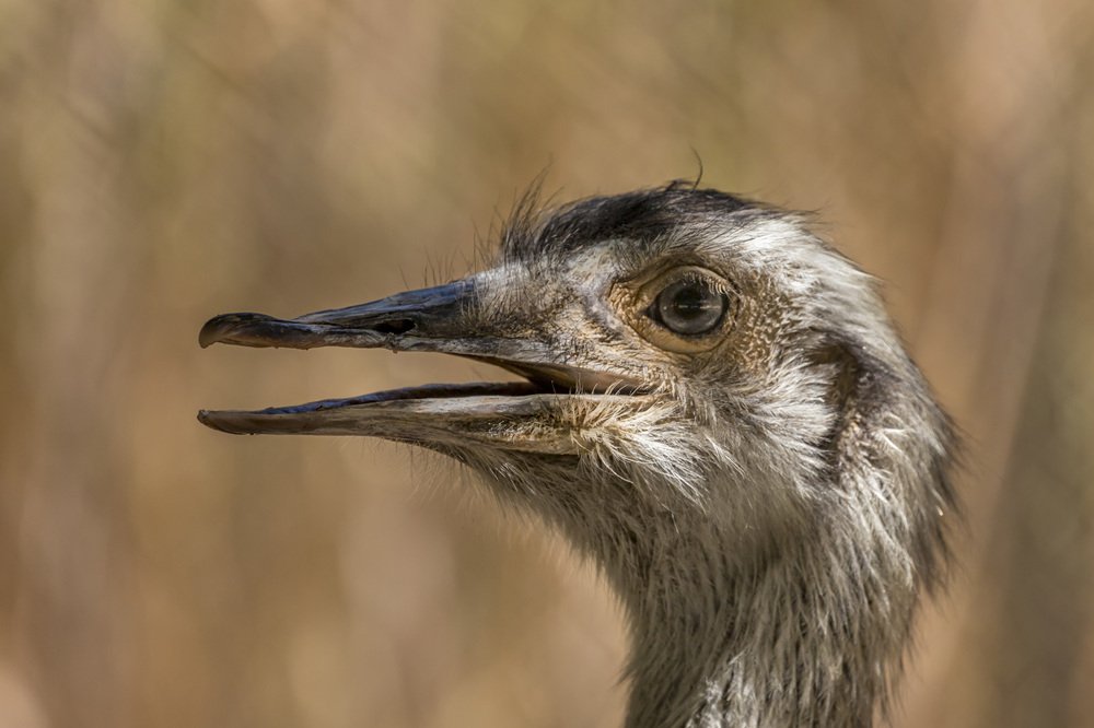 Фотография автора Nikolay Tatarchuk