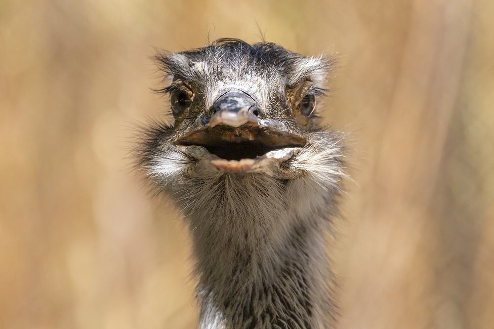 Фотография автора Nikolay Tatarchuk