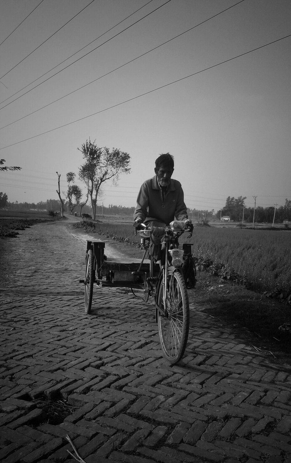 Rickshaw puller
