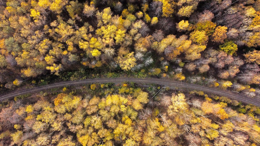 Фотография автора Коротков Алексей